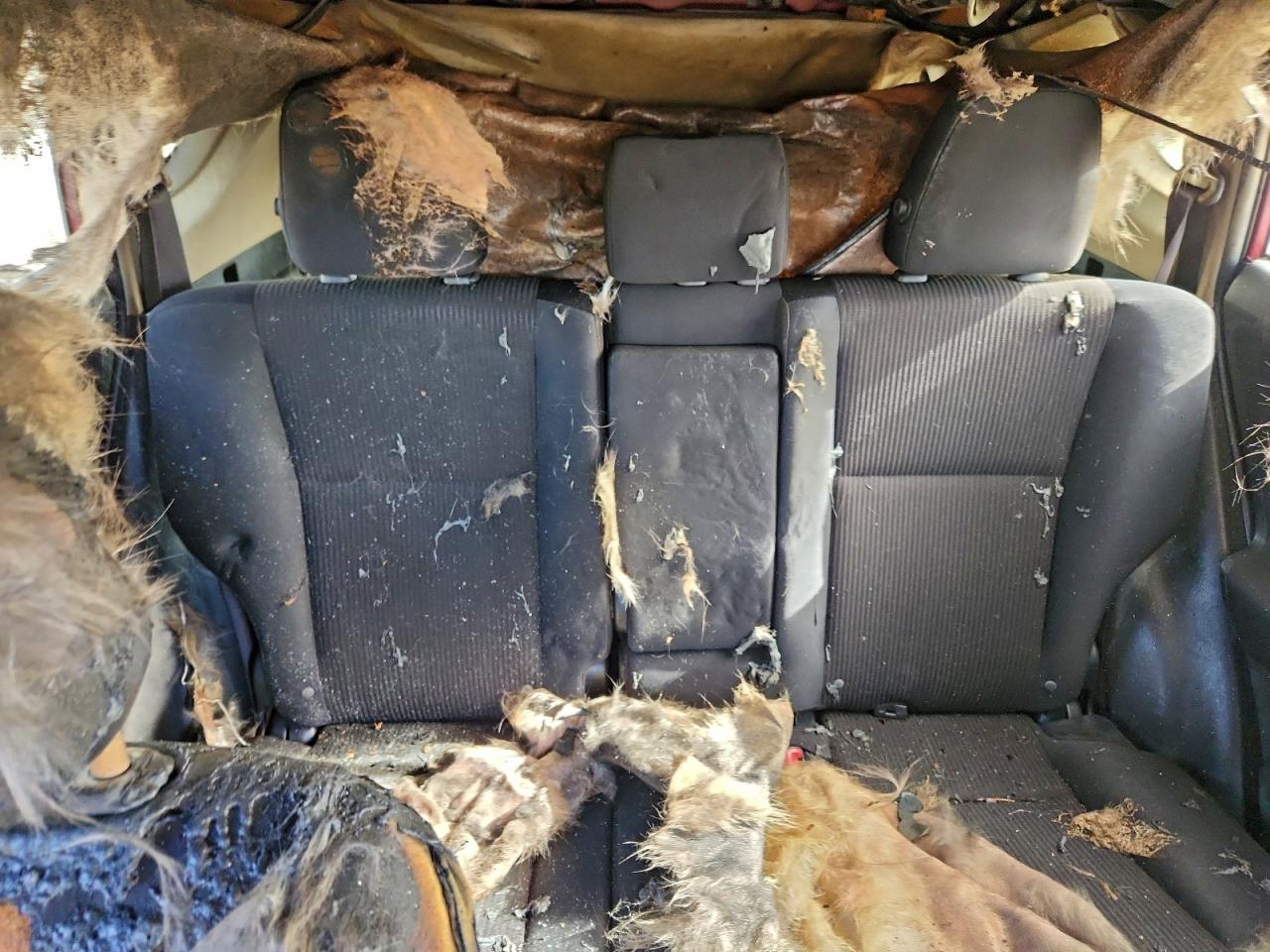 2015 TOYOTA RAV4 LE photo 10