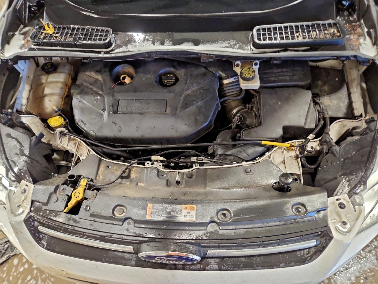 2014 FORD ESCAPE SE photo 12