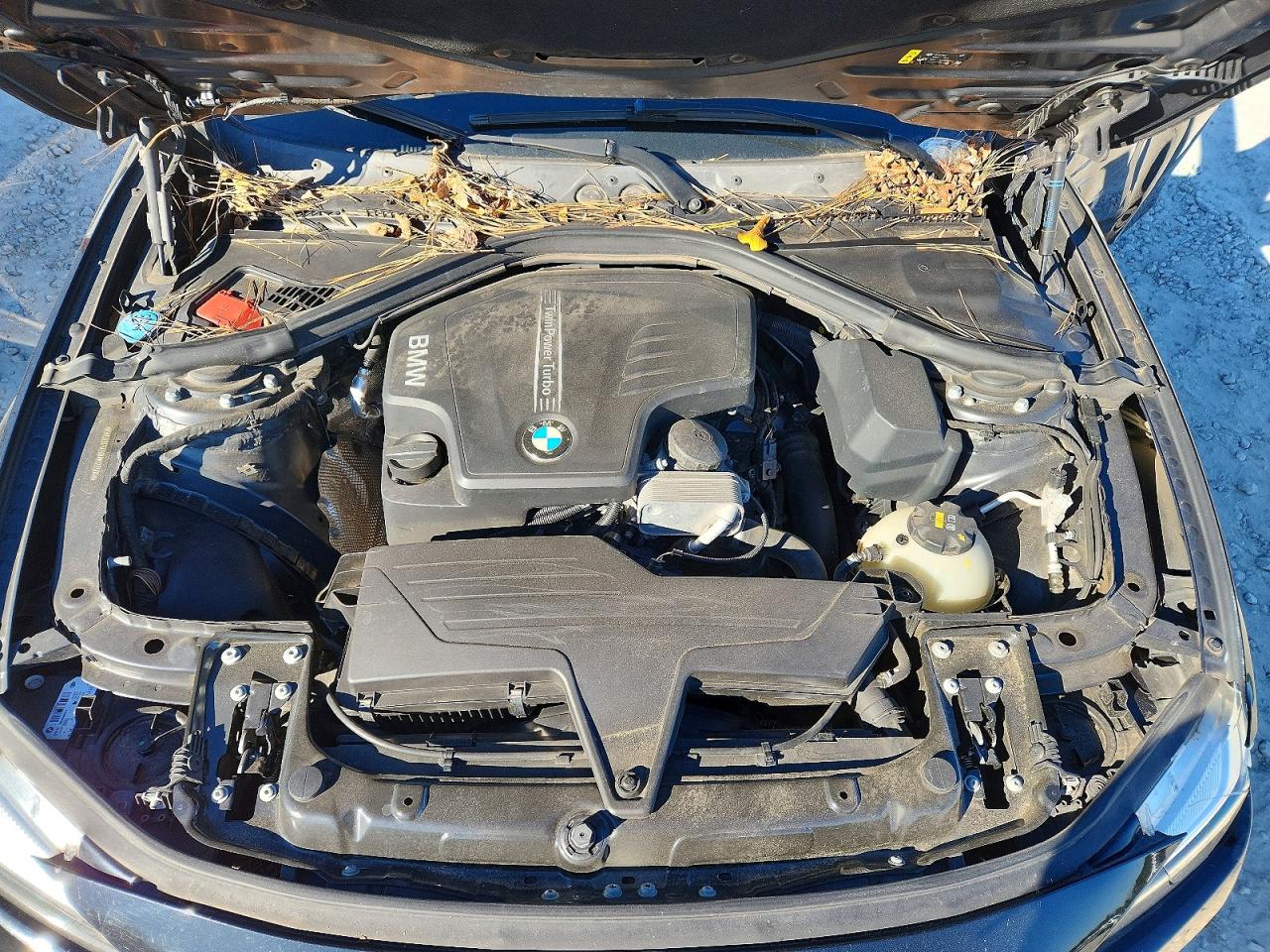 2017 BMW 320 XI photo 11