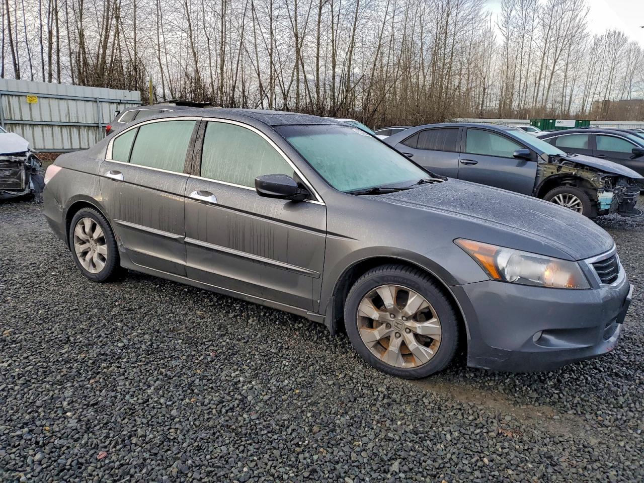 2010 HONDA ACCORD EXL photo 7