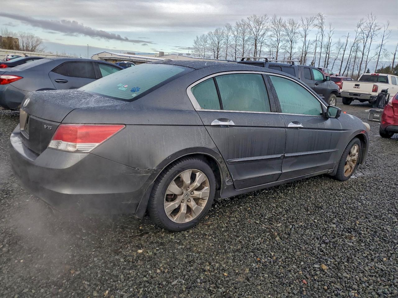 2010 HONDA ACCORD EXL photo 5