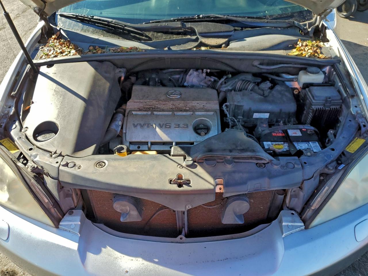 2006 LEXUS RX 330 photo 45