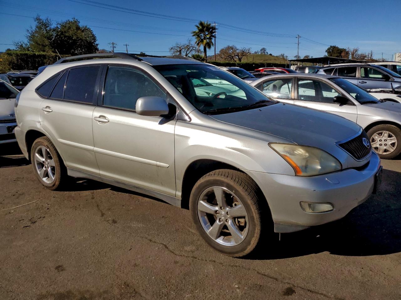 2006 LEXUS RX 330 photo 13