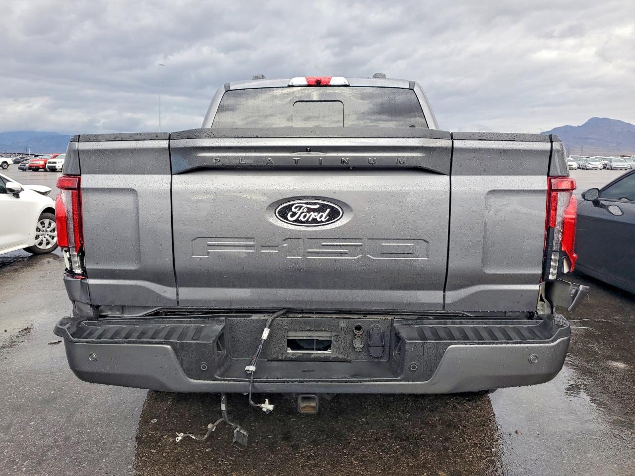 2024 FORD F150 PLATINUM photo 6