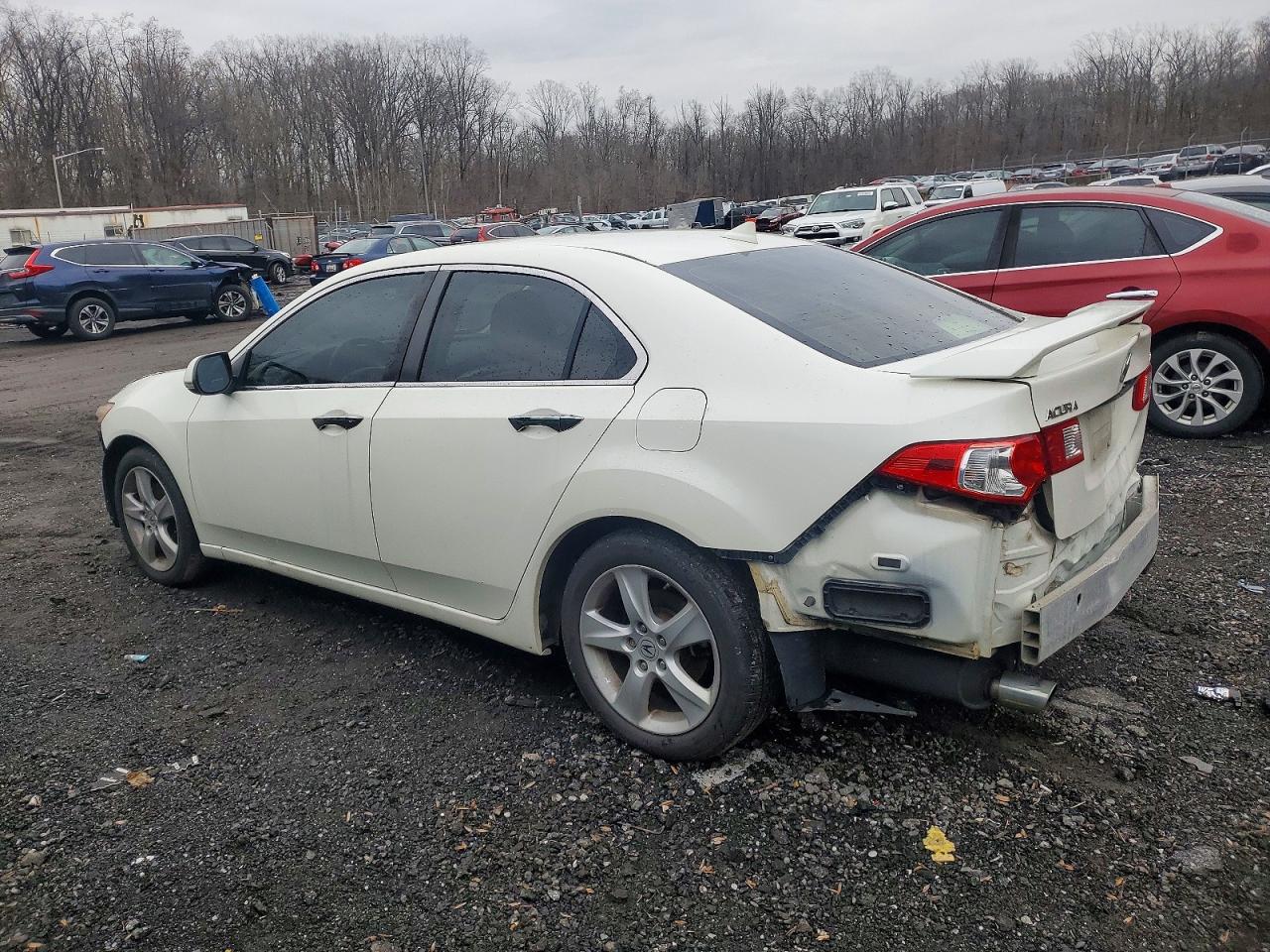 2010 ACURA TSX photo 2