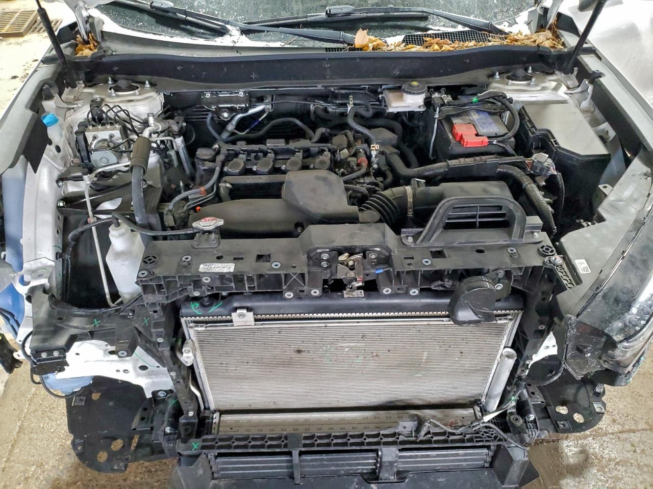 2024 HONDA CR-V EX photo 12