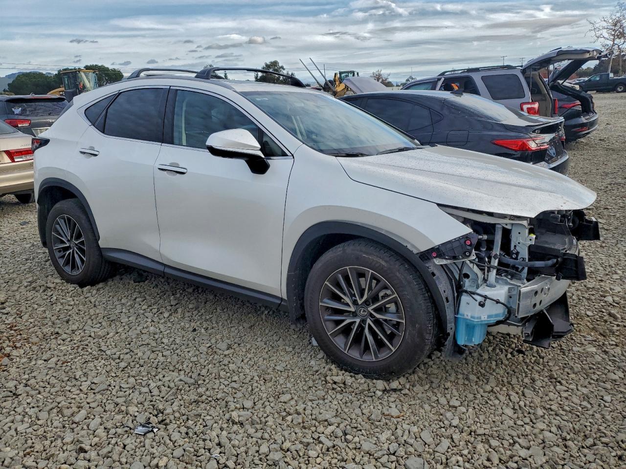 2025 LEXUS NX 350H BASE photo 4