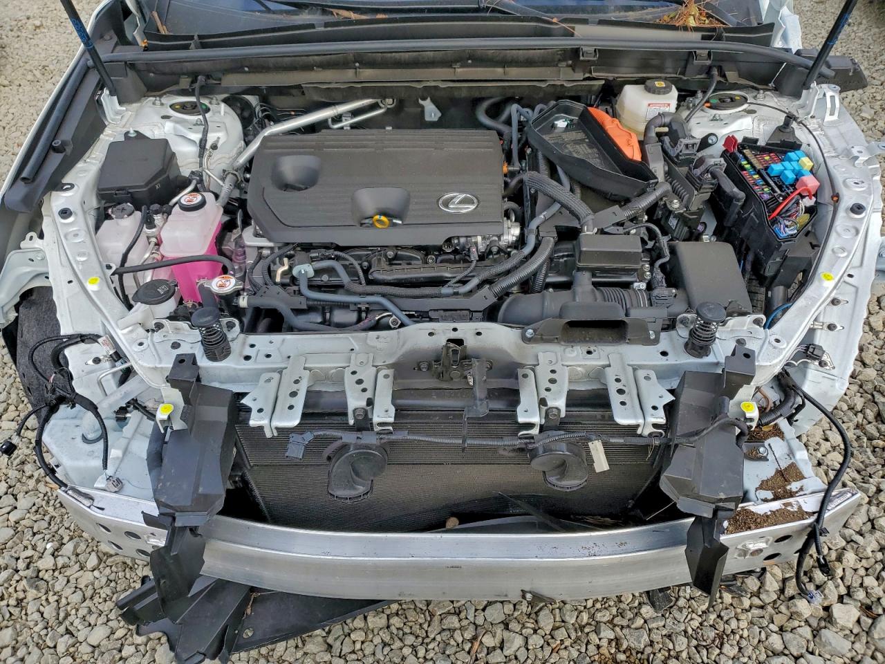 2025 LEXUS NX 350H BASE photo 12