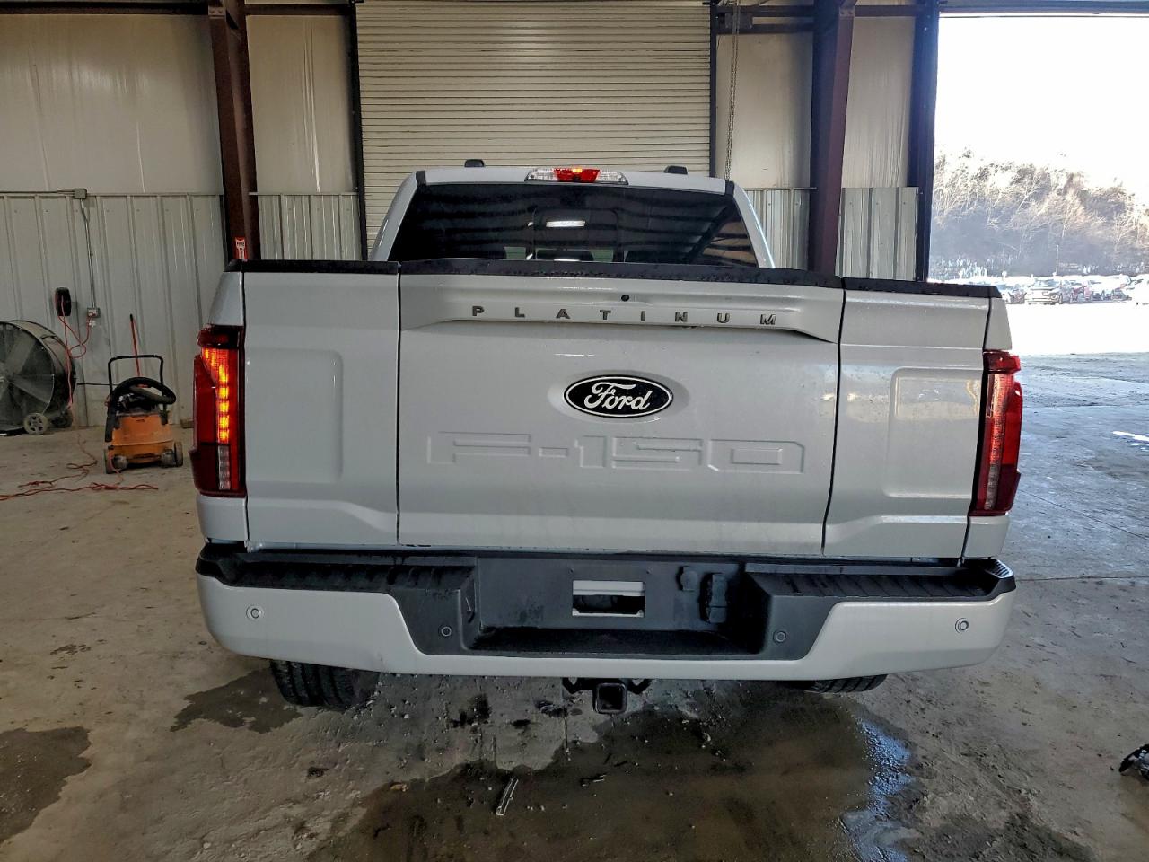 2025 FORD F150 PLATINUM photo 6