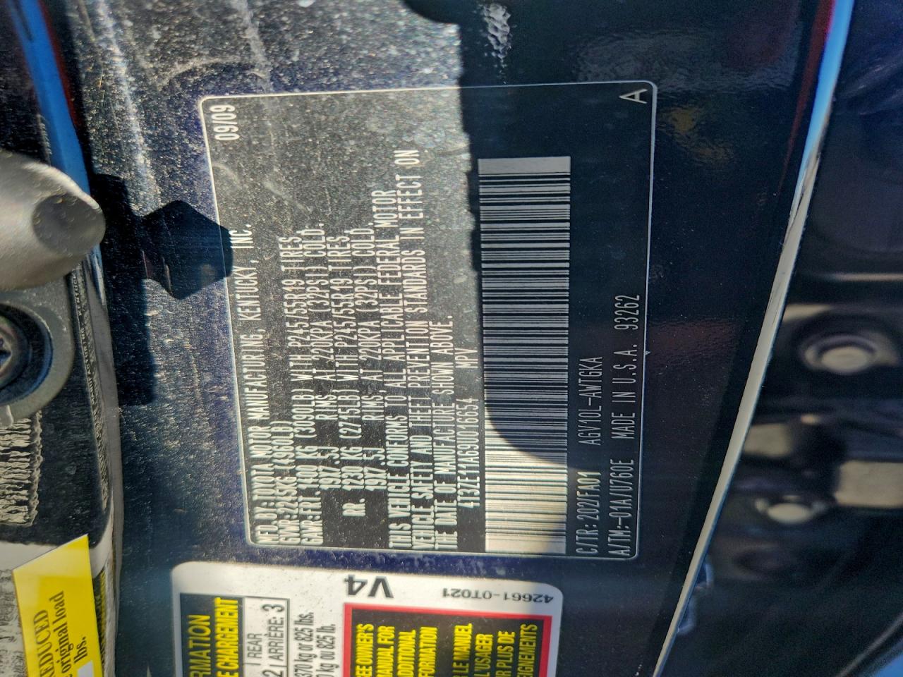 2009 TOYOTA VENZA photo 13