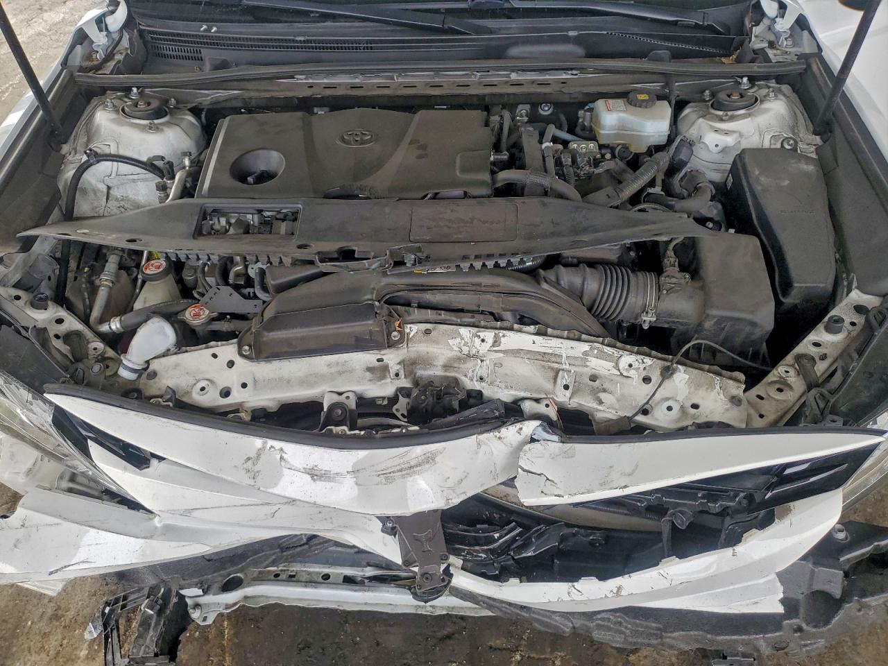 2019 TOYOTA CAMRY HYBRID photo 11