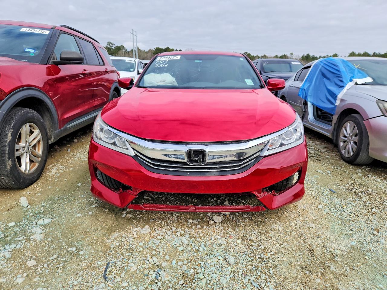 2017 HONDA ACCORD SPORT photo 5