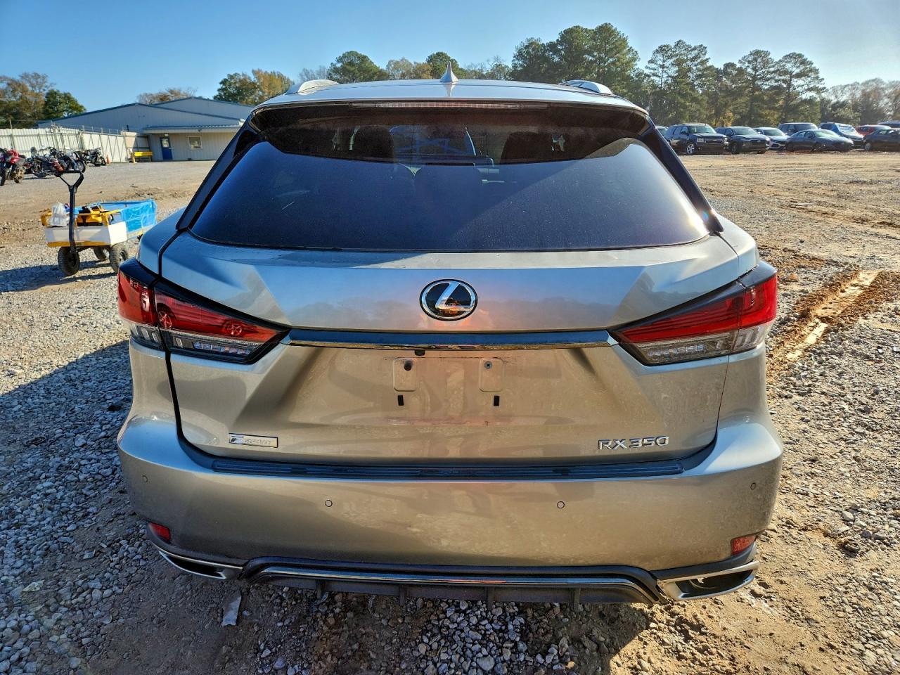 2020 LEXUS RX 350 F SPORT photo 6