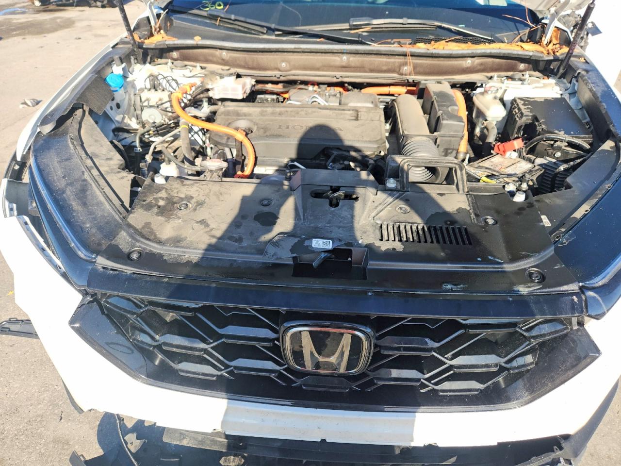 2024 HONDA CR-V photo 12