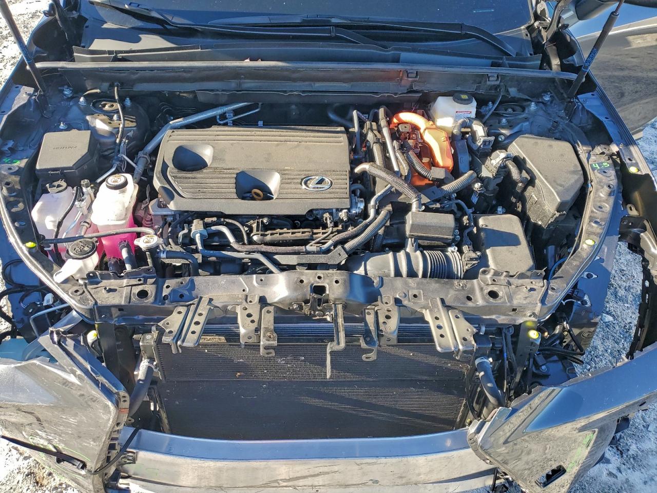 2025 LEXUS NX 350H BASE photo 12