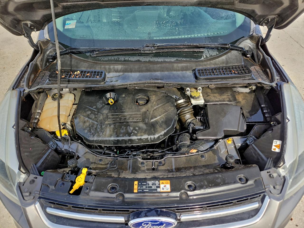 2014 FORD ESCAPE TITANIUM photo 12