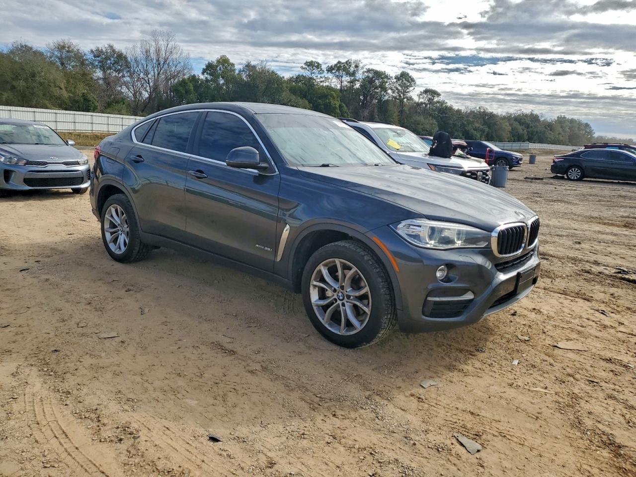 2016 BMW X6 XDRIVE35I photo 4