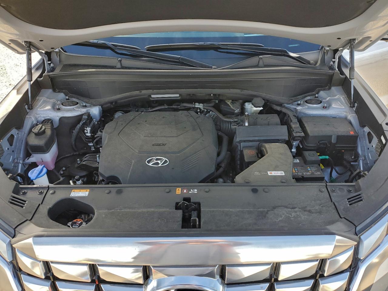 2024 HYUNDAI PALISADE CALLIGRAPHY photo 12
