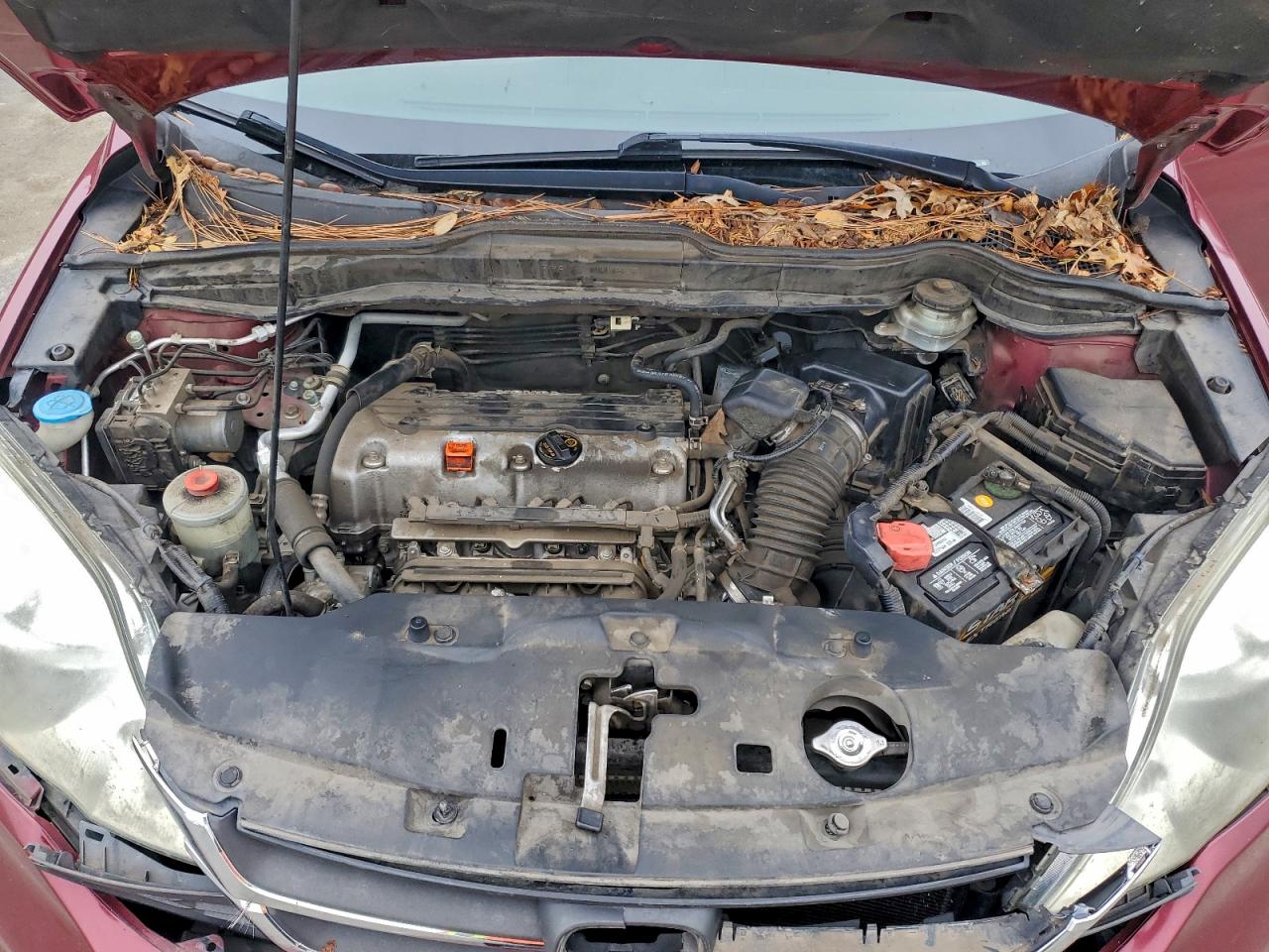 2011 HONDA CR-V SE photo 12