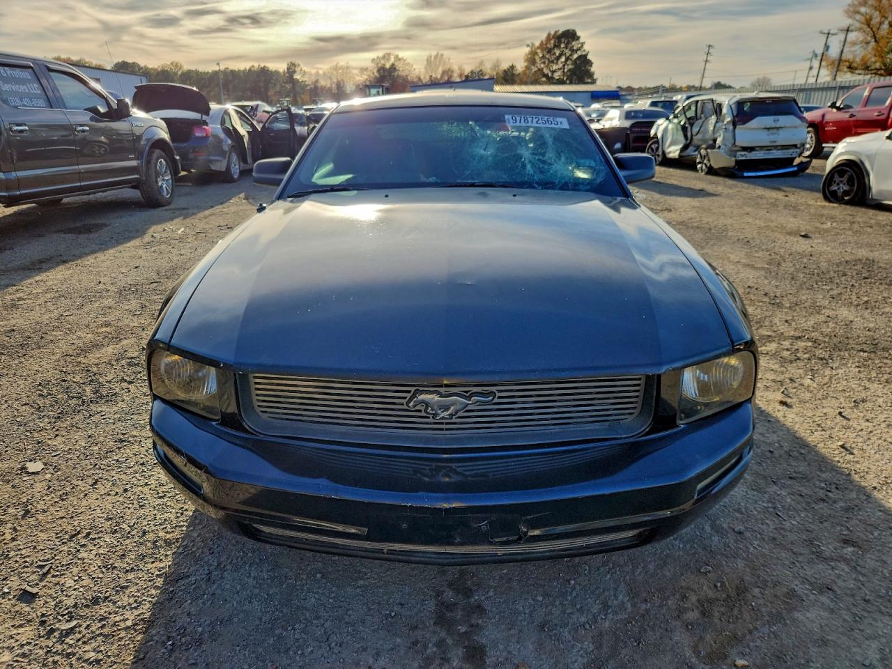 2005 FORD MUSTANG photo 5
