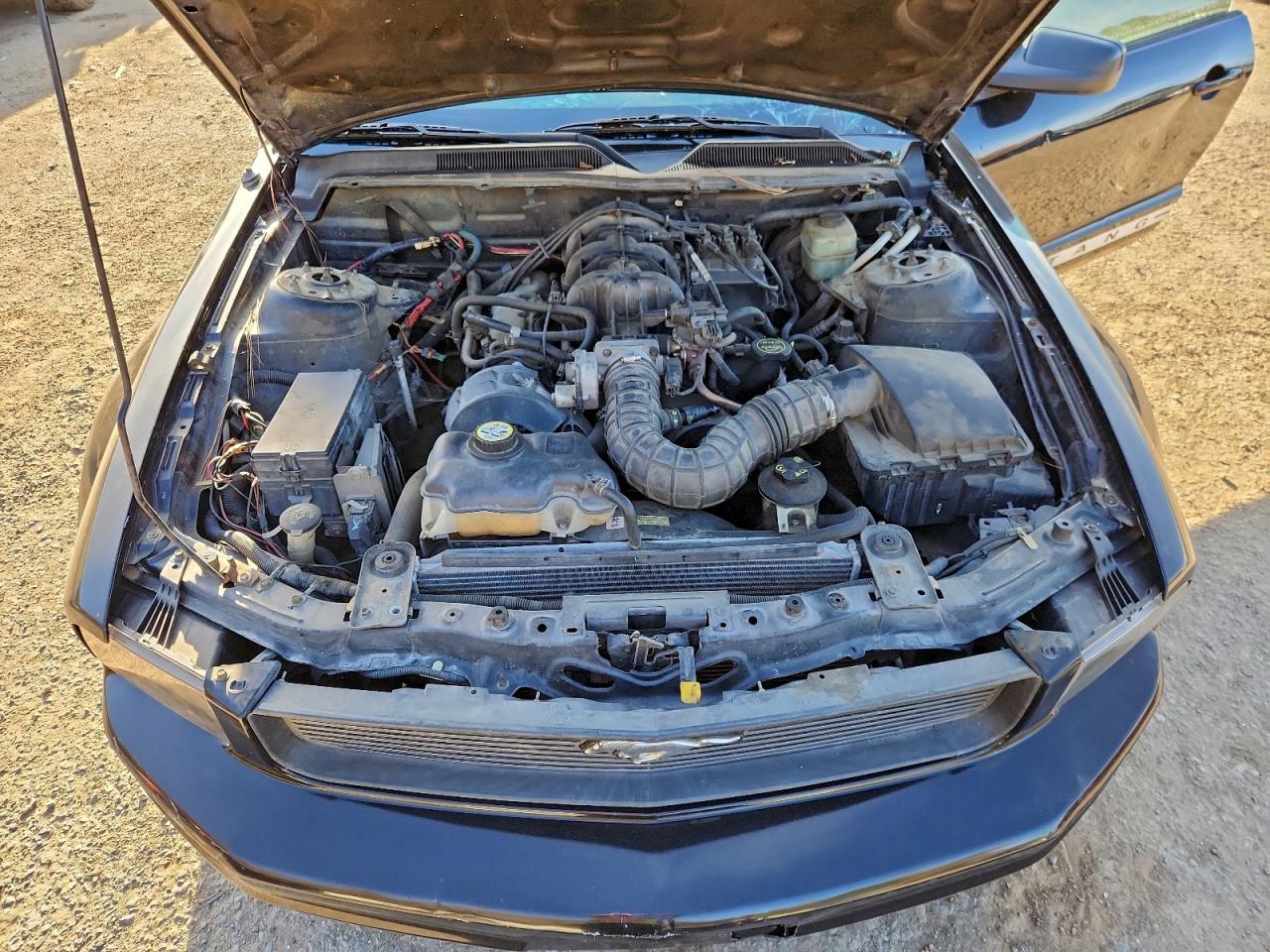 2005 FORD MUSTANG photo 11