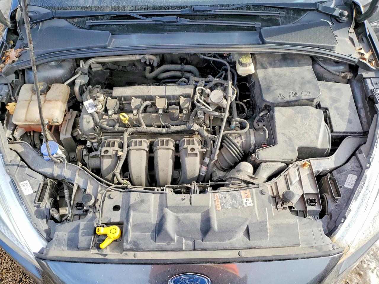 2017 FORD FOCUS SE photo 11