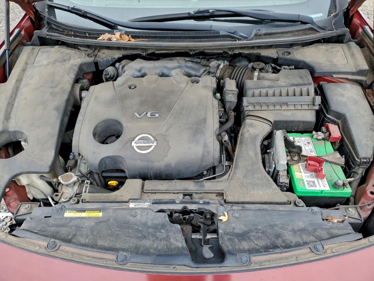 2010 NISSAN MAXIMA S photo 11