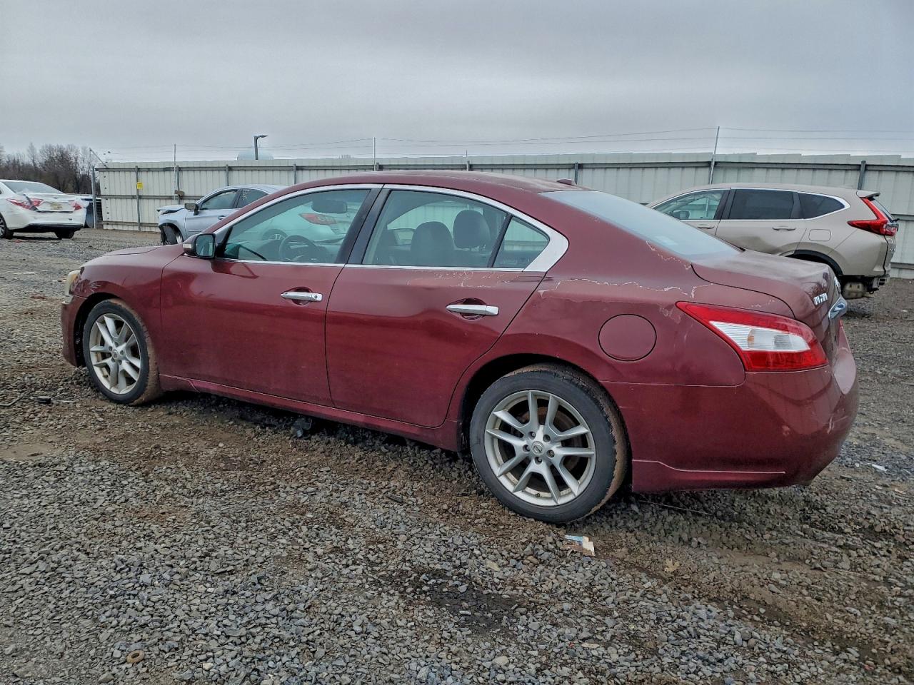 2010 NISSAN MAXIMA S photo 2