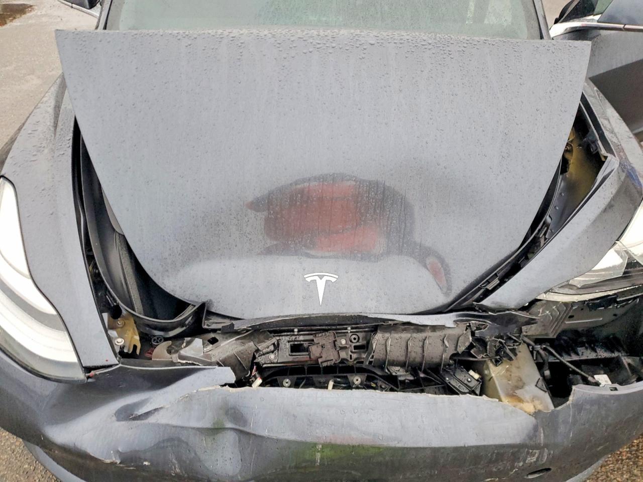 2019 TESLA MODEL 3 photo 11