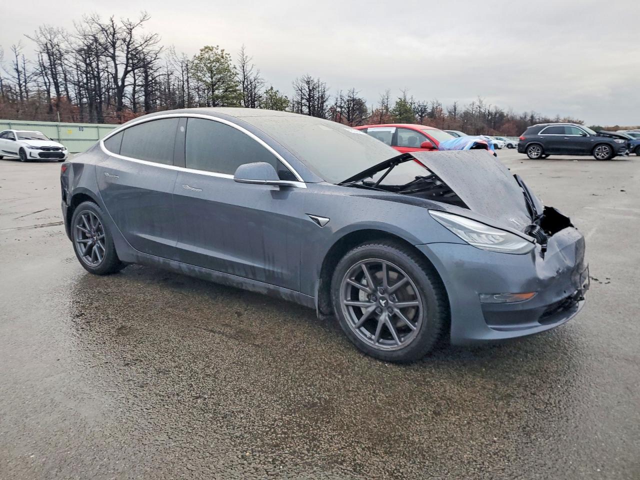 2019 TESLA MODEL 3 photo 4