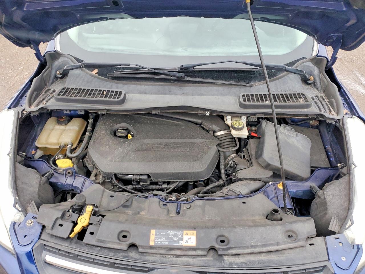2014 FORD ESCAPE SE photo 12