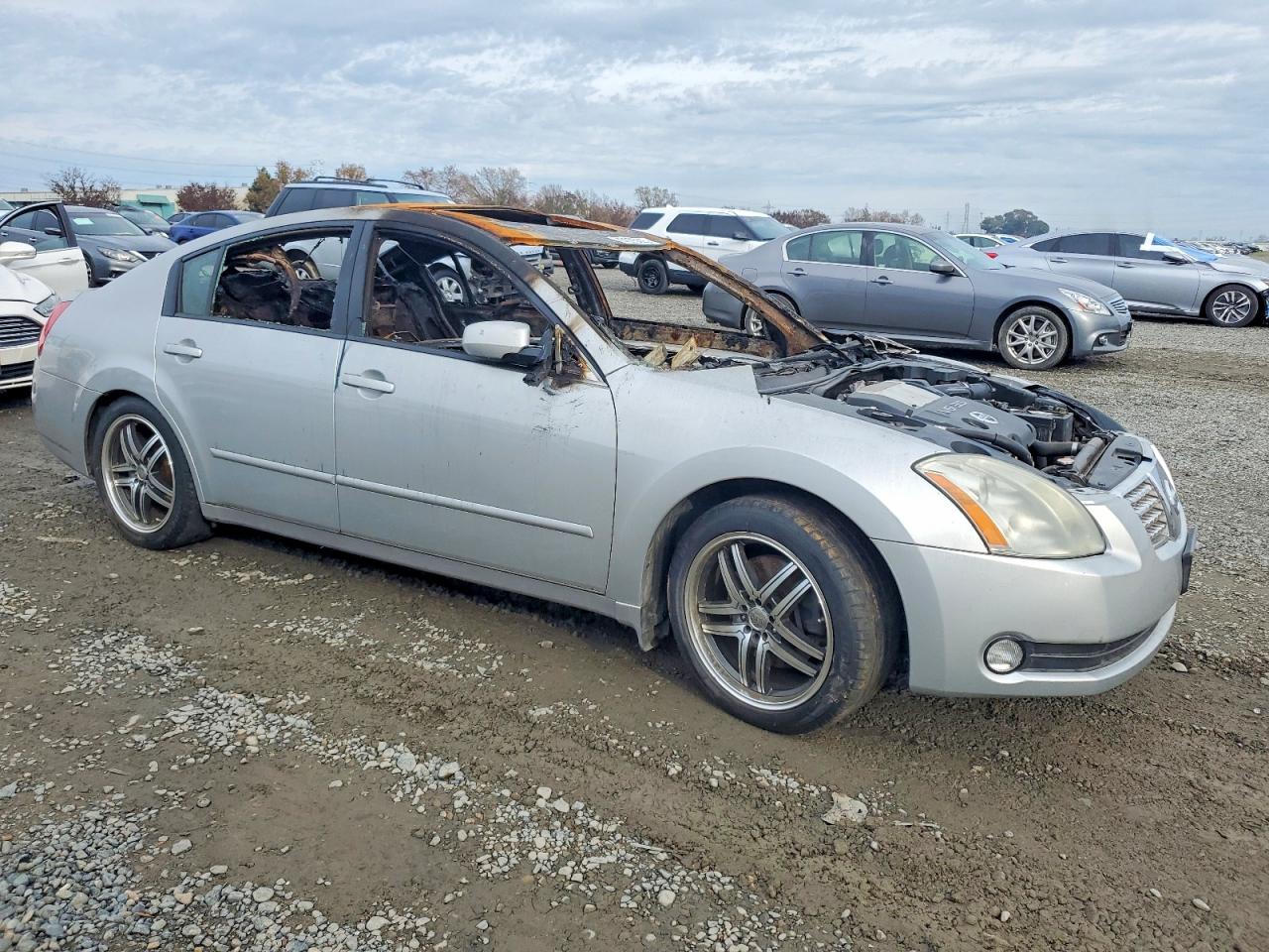 2005 NISSAN MAXIMA SE photo 4