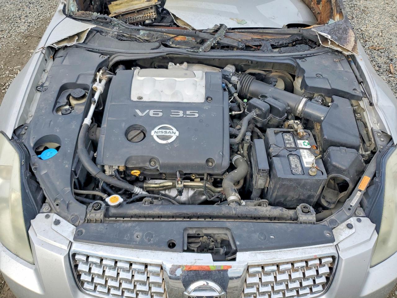 2005 NISSAN MAXIMA SE photo 11