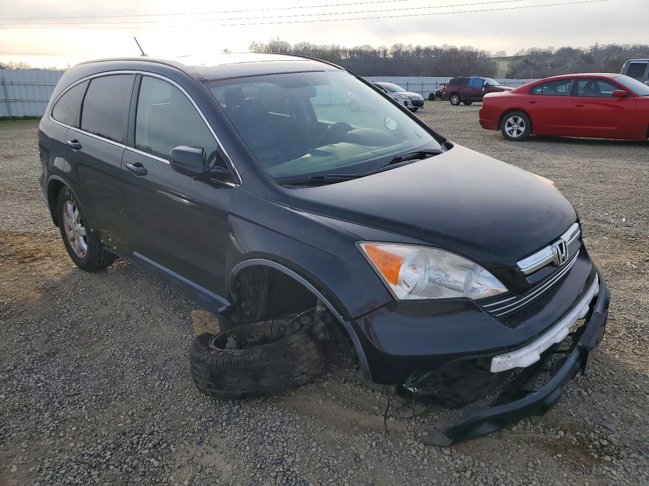 2007 HONDA CR-V EXL photo 10