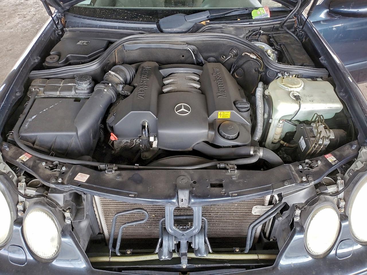 1999 MERCEDES-BENZ CLK 320 photo 11