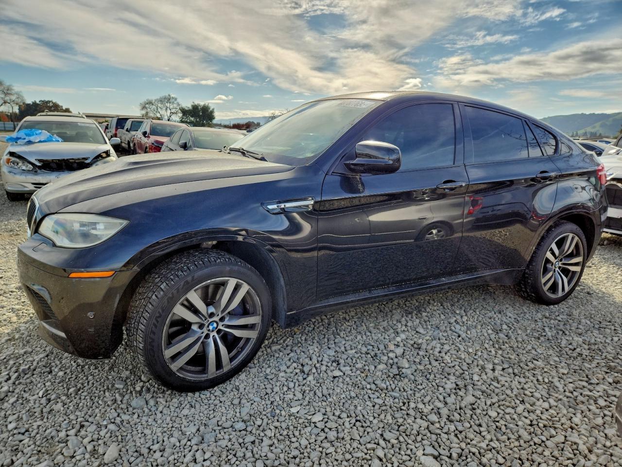 2014 BMW X6