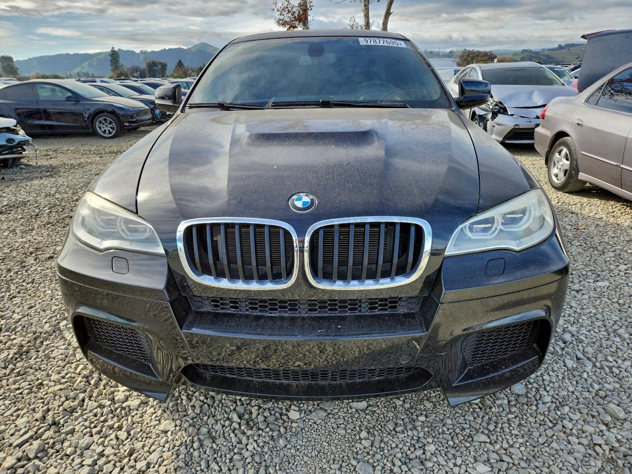 2014 BMW X6 M photo 13