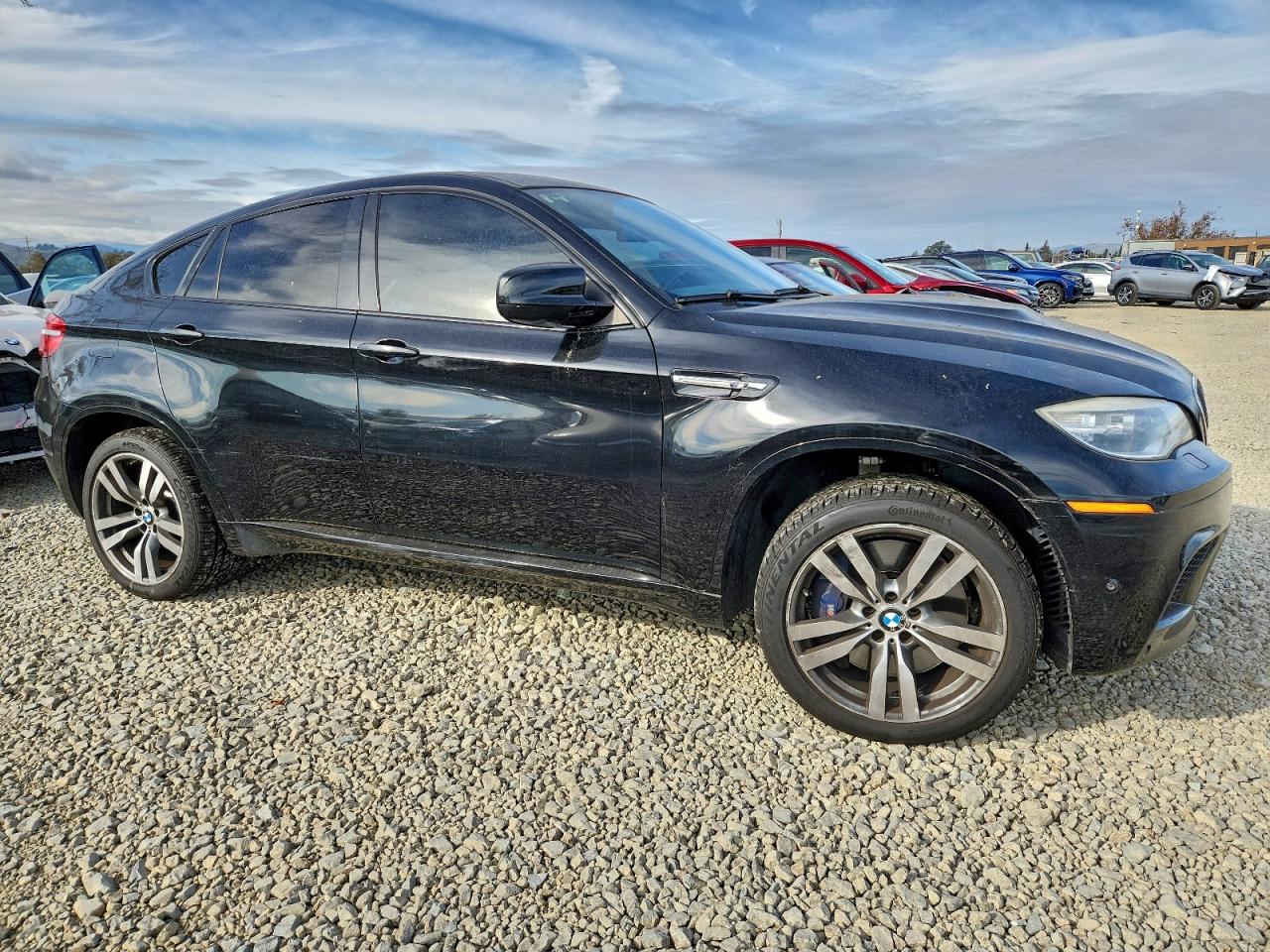 2014 BMW X6 M photo 10