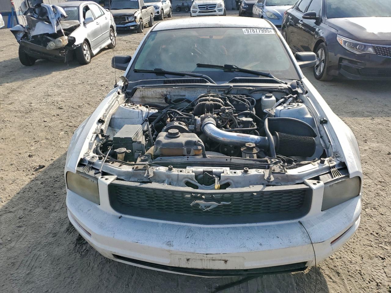 2005 FORD MUSTANG photo 5
