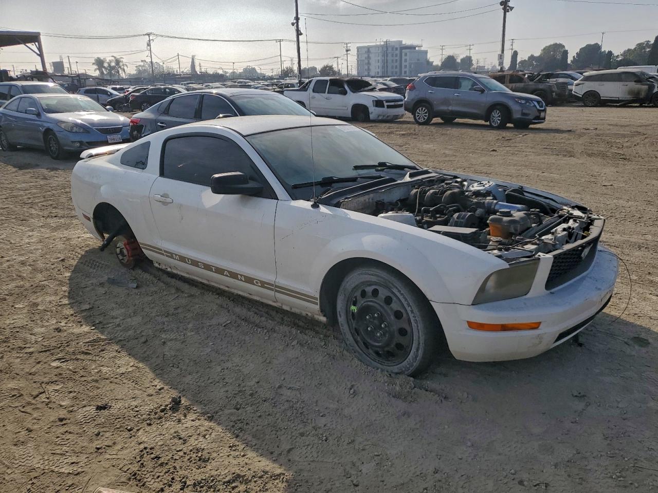 2005 FORD MUSTANG photo 4