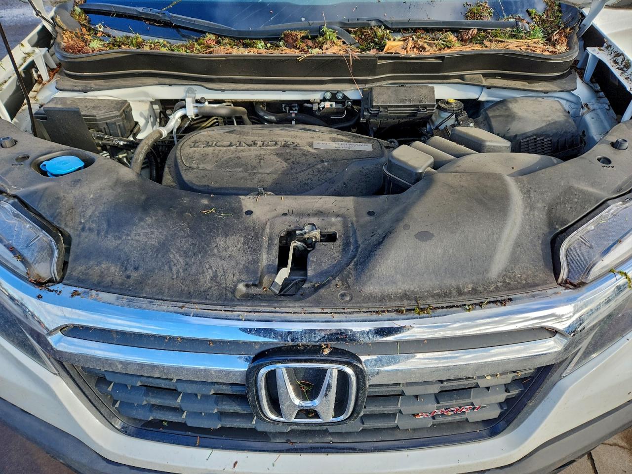 2019 HONDA RIDGELINE SPORT photo 11