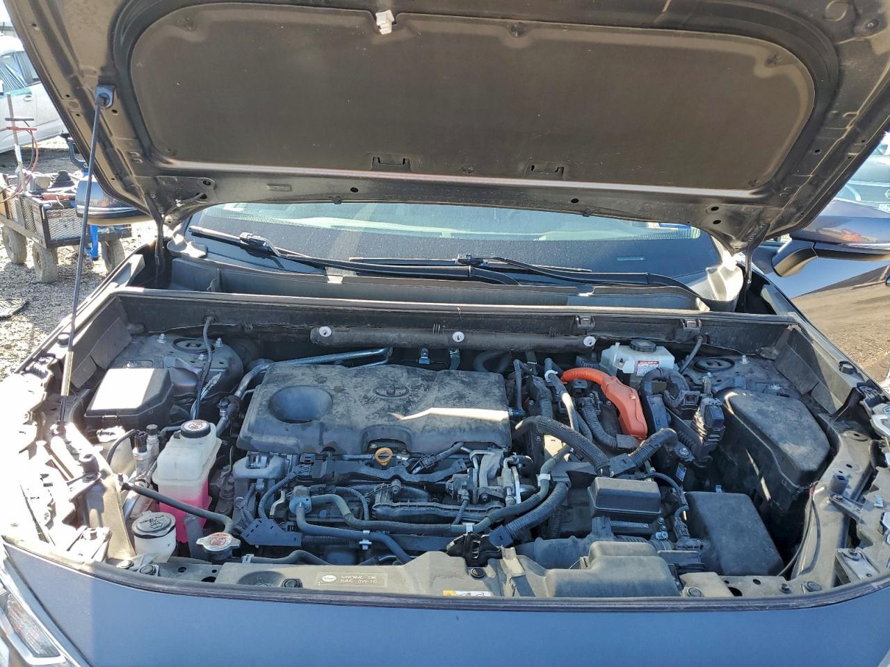 2019 TOYOTA RAV4 XLE photo 11