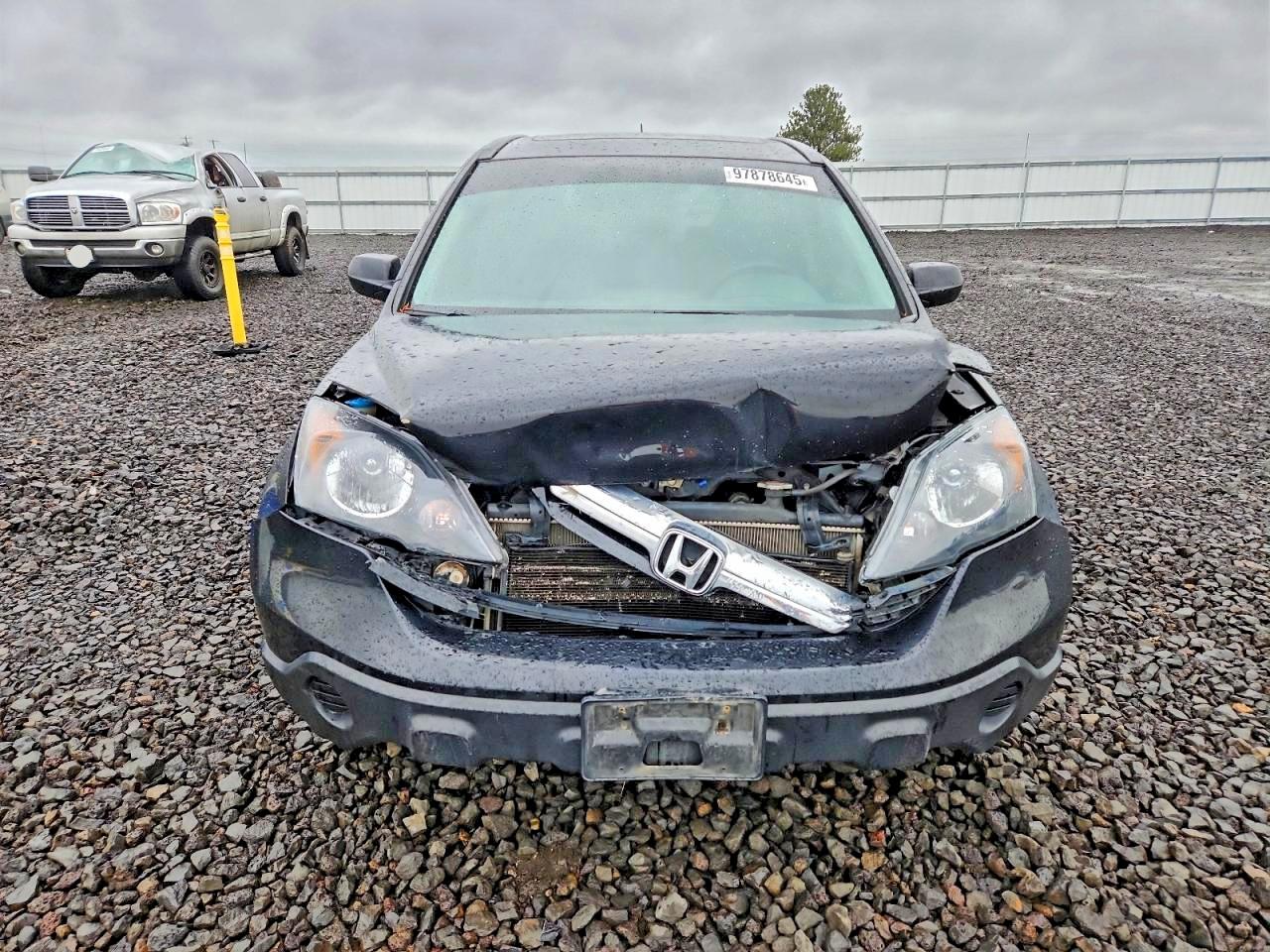 2008 HONDA CR-V EXL photo 5