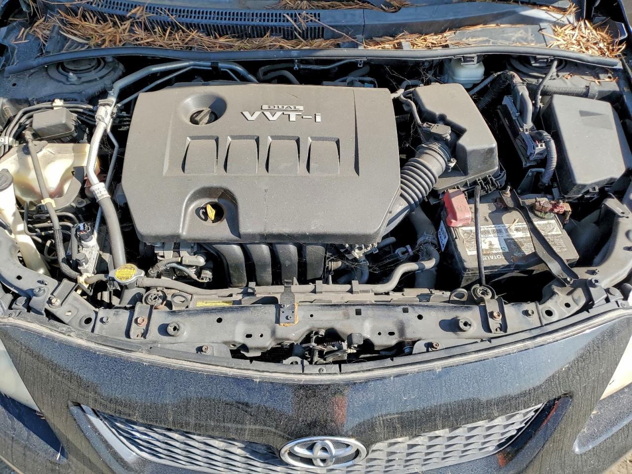2010 TOYOTA COROLLA photo 11