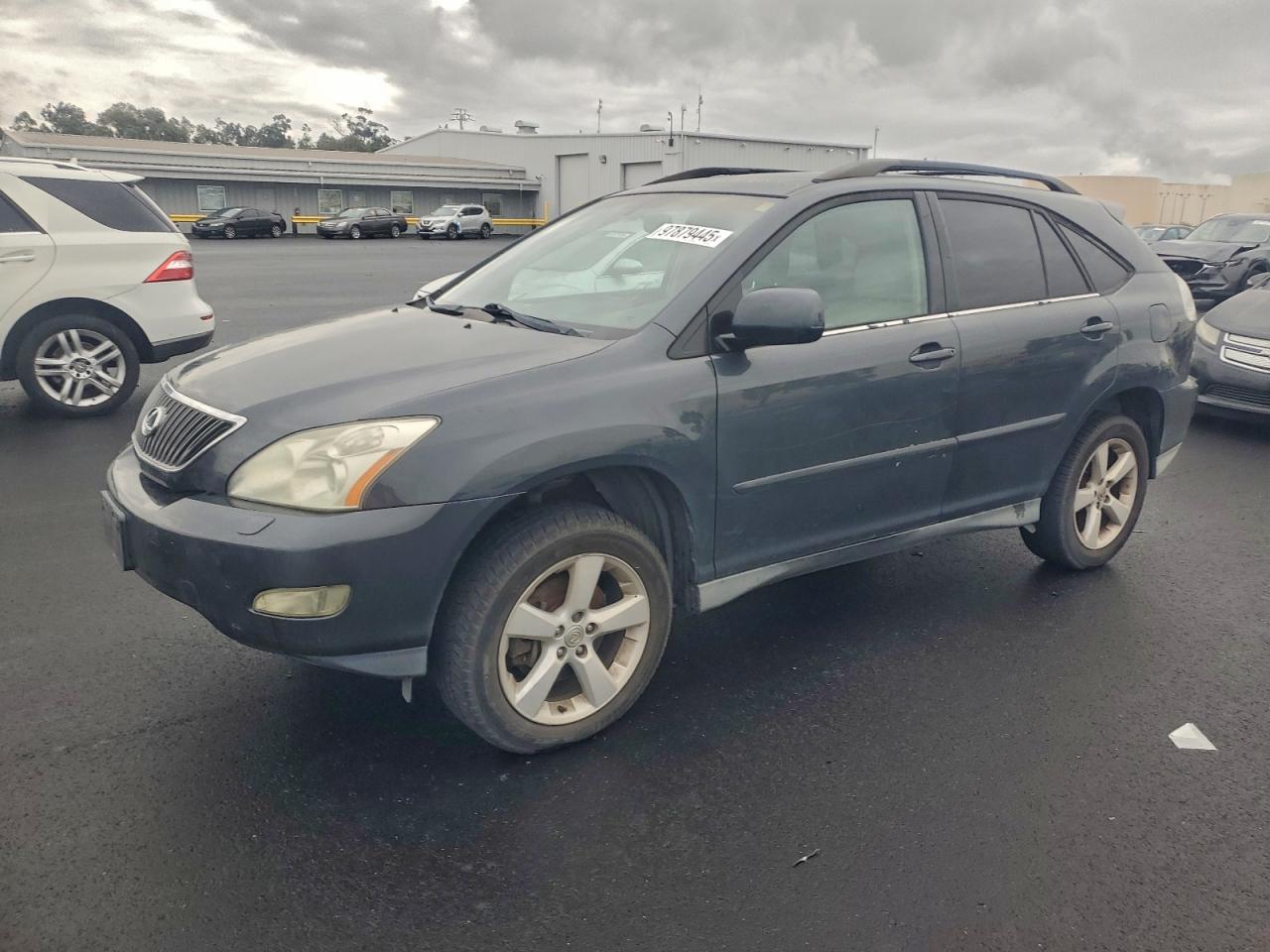 2006 LEXUS RX