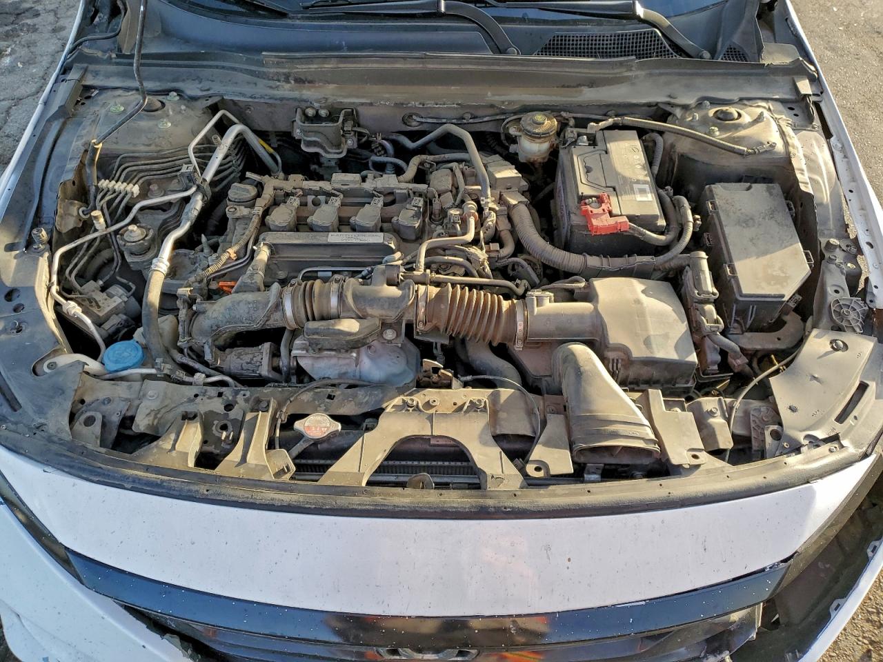 2020 HONDA ACCORD LX photo 11