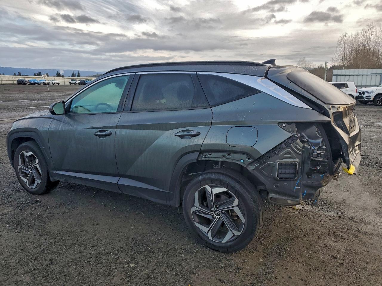 2022 HYUNDAI TUCSON LIMITED photo 2