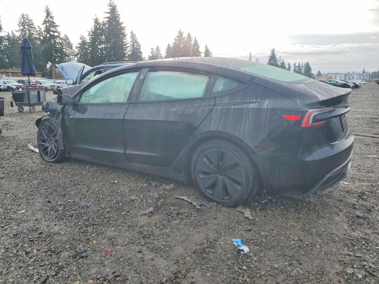 2024 TESLA MODEL 3 photo 2