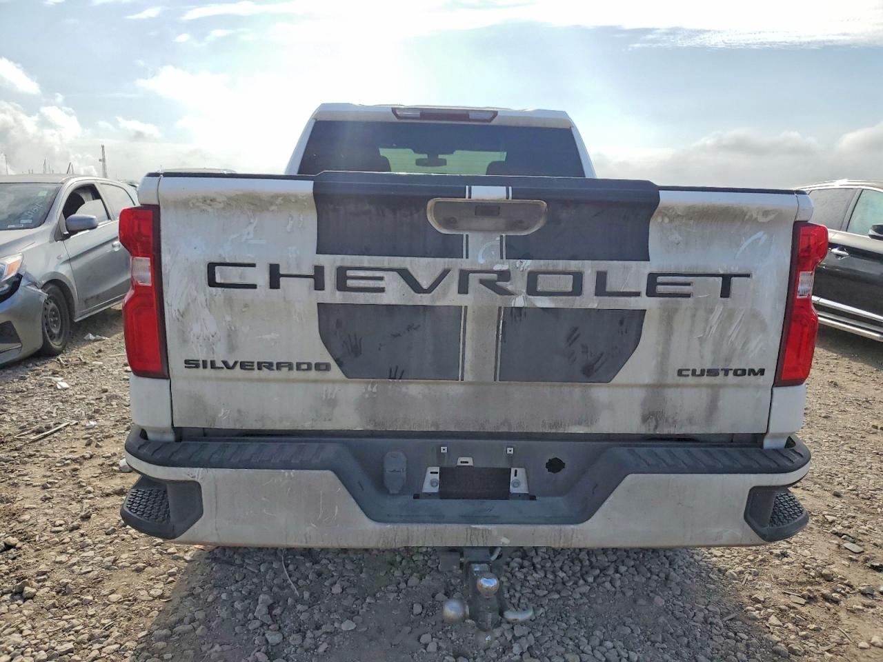 2020 CHEVROLET SILVERADO C1500 CUSTOM photo 6