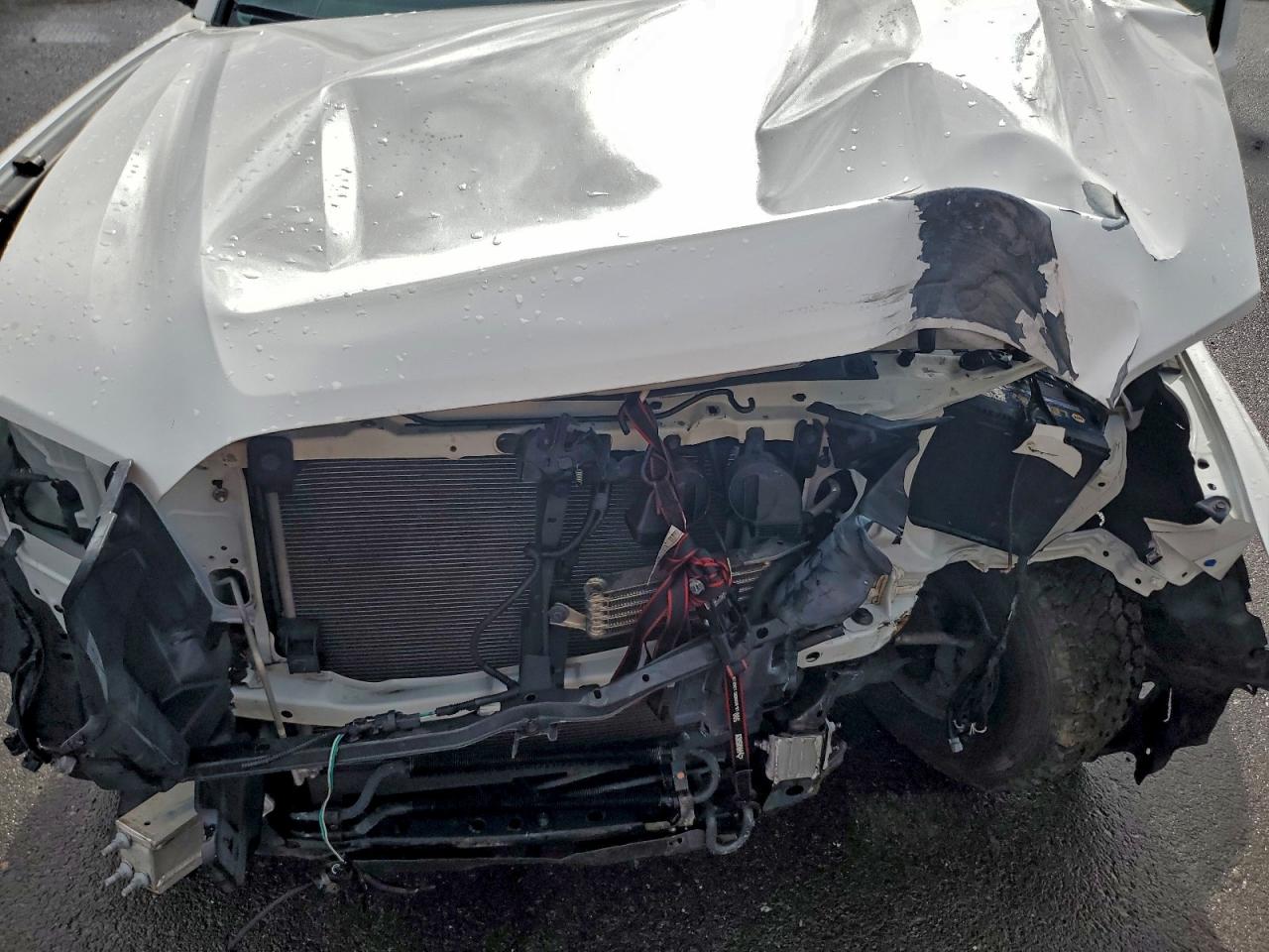 2019 TOYOTA TACOMA ACCESS CAB photo 11